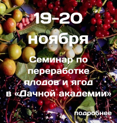 Обратите внимание