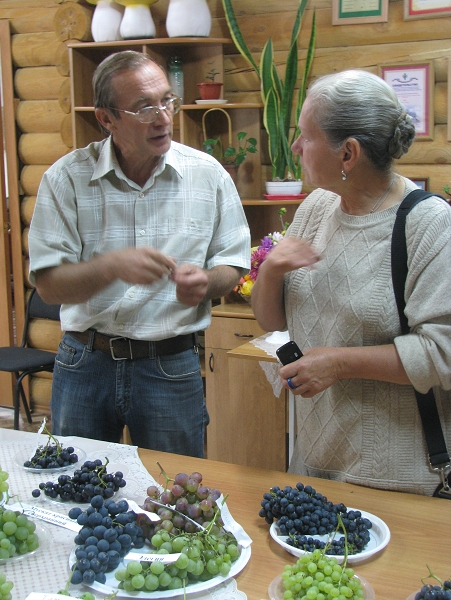 Июль на винограднике