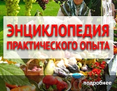 Энциклопедия практического опыта