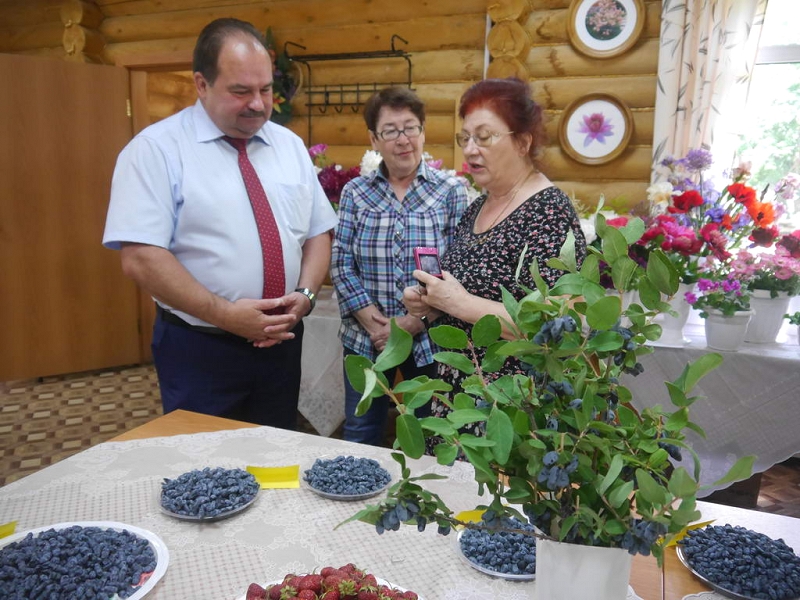 Июньская выставка