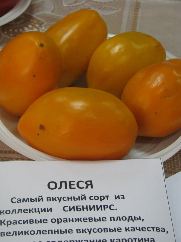Новинки селекции