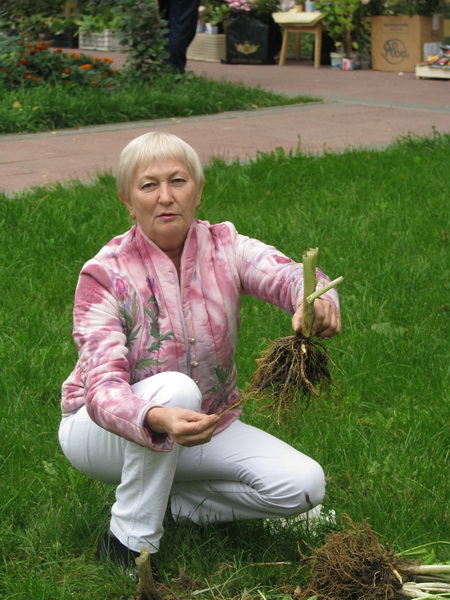 Цветник в июле