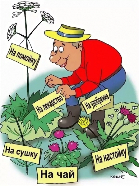 Не всегда враг