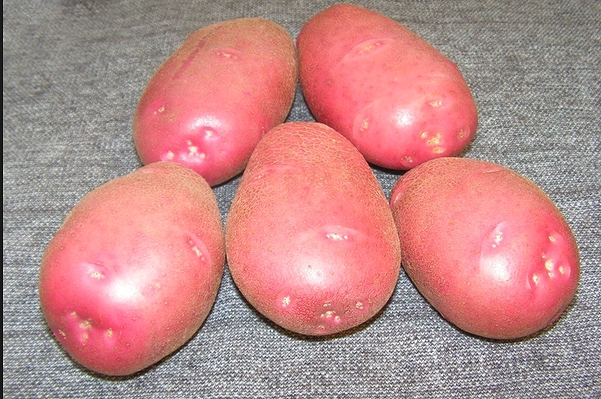 Картофель