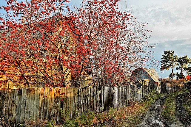 Перед снегопадом