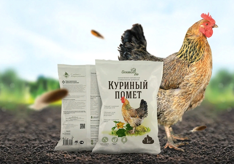 Вопросы о земле (продолжение)