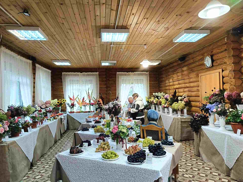 Выставка как источник знаний