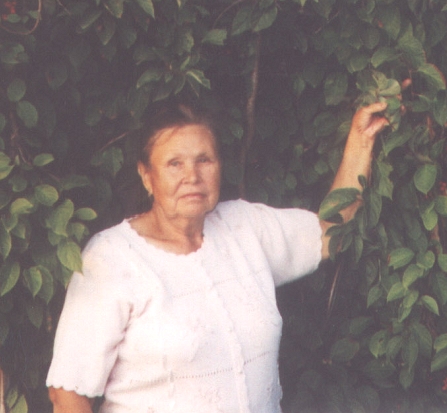 Огурец в теплице