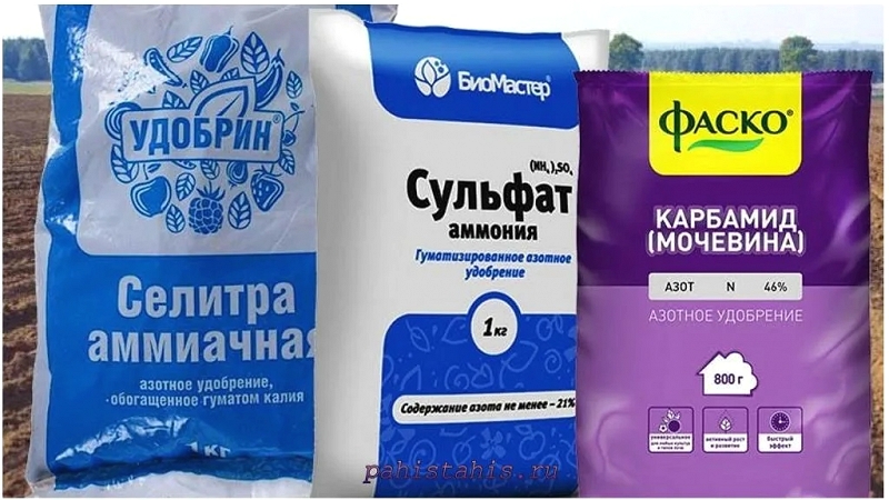 Что нужно знать об азотных удобрениях