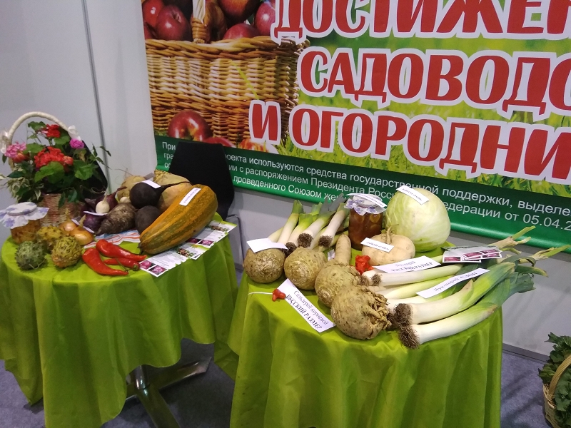 Отчет об участии в выставке достижений агропромышленного комплекса НСО