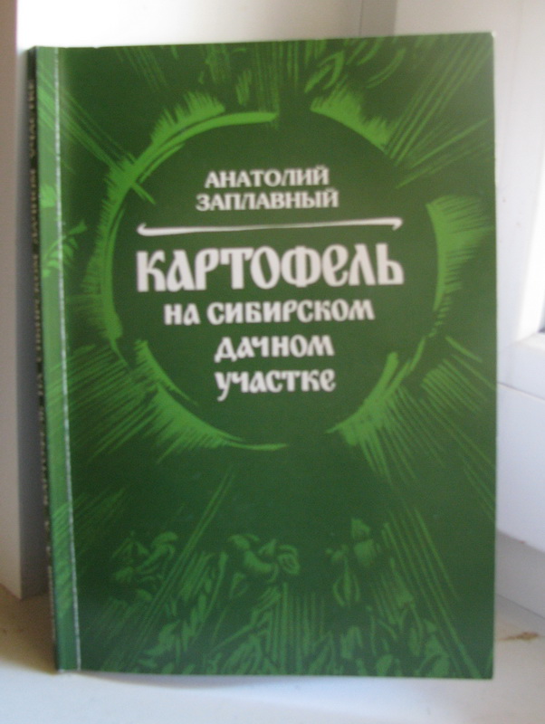 «Картофель на сибирском дачном участке»