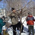 УЧЕБНЫЙ ЦЕНТР «ДАЧНАЯ АКАДЕМИЯ» ПРИГЛАШАЕТ