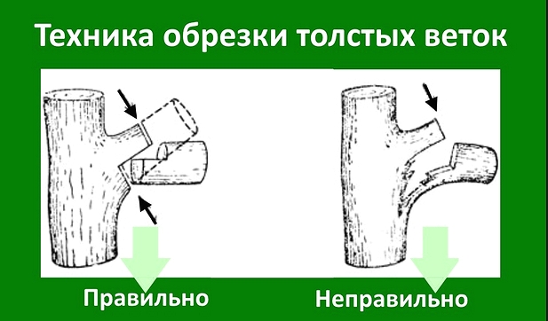 Делаем обрезку правильно