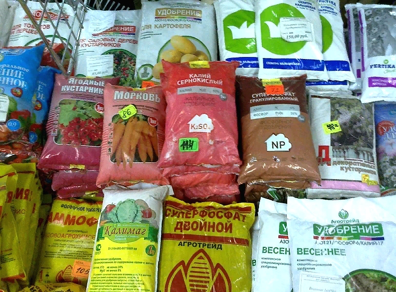 Концентрированная еда