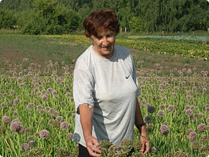 Огородные грядки