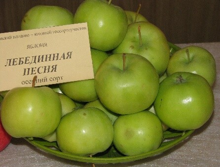 Лебединая Песня (Любава)