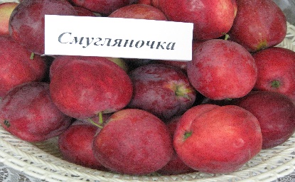 Смугляночка
