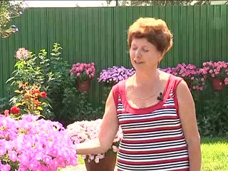 Красивый двор Лукиных в Новосибирске.