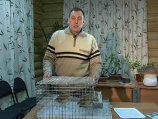 Содержание перепелов. Чегодаев В.Г.