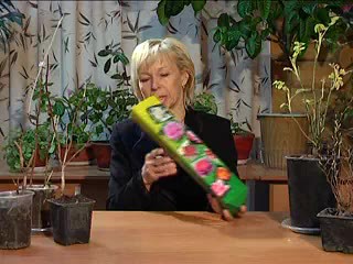 Несезонная покупка декоративных кустарников. Воронцова В.Ю.