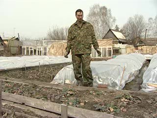 Ранний урожай земляники. Овечкин И.Д.