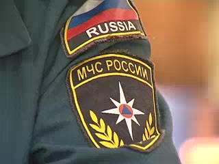 Вопросы о сливе в Сибири. Титова Г.Т.