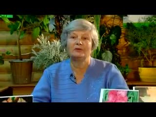 Гладиолусы Матвеева З.С.