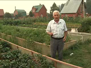 Необычные грядки. Лях А.А.