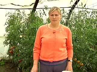 Как получить семена томатов. Житнековская О.А.