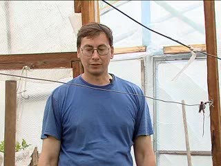 Посадка огурца в теплицу. Овечкин И.Д.