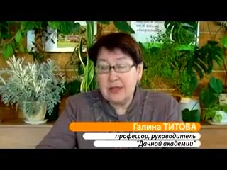Ноябрь в саду. Титова Г.Т.