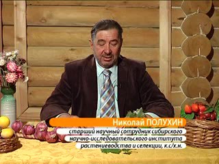 Картофель. Ответы на вопросы. Полухин Н.И.