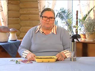 Цветочная посевная Судницына Н.Г.