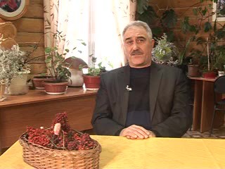 Что надо знать о сидератах Мармулев А.Н.