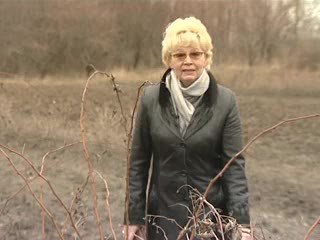 Болезни и вредители малины. Цветкова В.П.