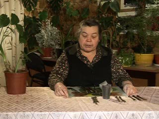 Размножение винограда. Воронцова Т.Ф.