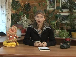 Дачный дизайн. Украшения для сада Ушакова Т.В.