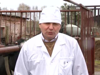 Советы ветеринара о профилактических прививках. Шмидт Ю.Д.