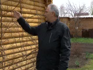 Перезимовка актинидии. Мармулев А.Н.