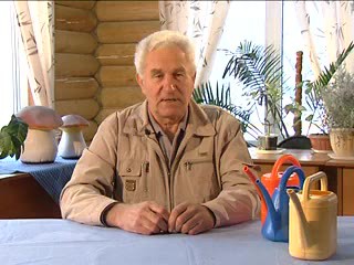 Как правильно поливать Лях А.А.