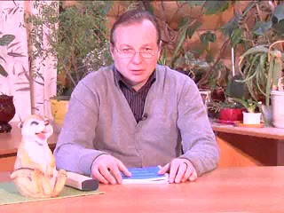 Профилактические прививки собак и кошек. Шмидт. Ю.Д.