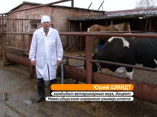 Здоровье продуктивных животных. Шмидт Ю.Д.