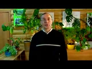 Советы виноградаря Пеганов С.А.