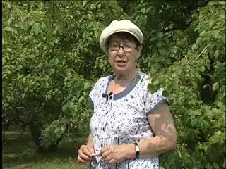 Вредители груши и вишни (Титова Г.Т.) , капусты (Овечкин И.Д.)