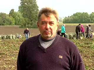 Когда копать картошку? Полухин Н.И.
