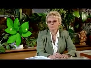 Препараты для защиты растений Цветкова В.П.