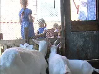 Готовимся к посадке сада. Титова Г.Т.