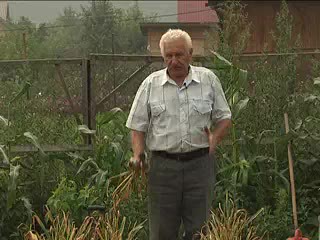Хороший озимый чеснок. Лях А.А.
